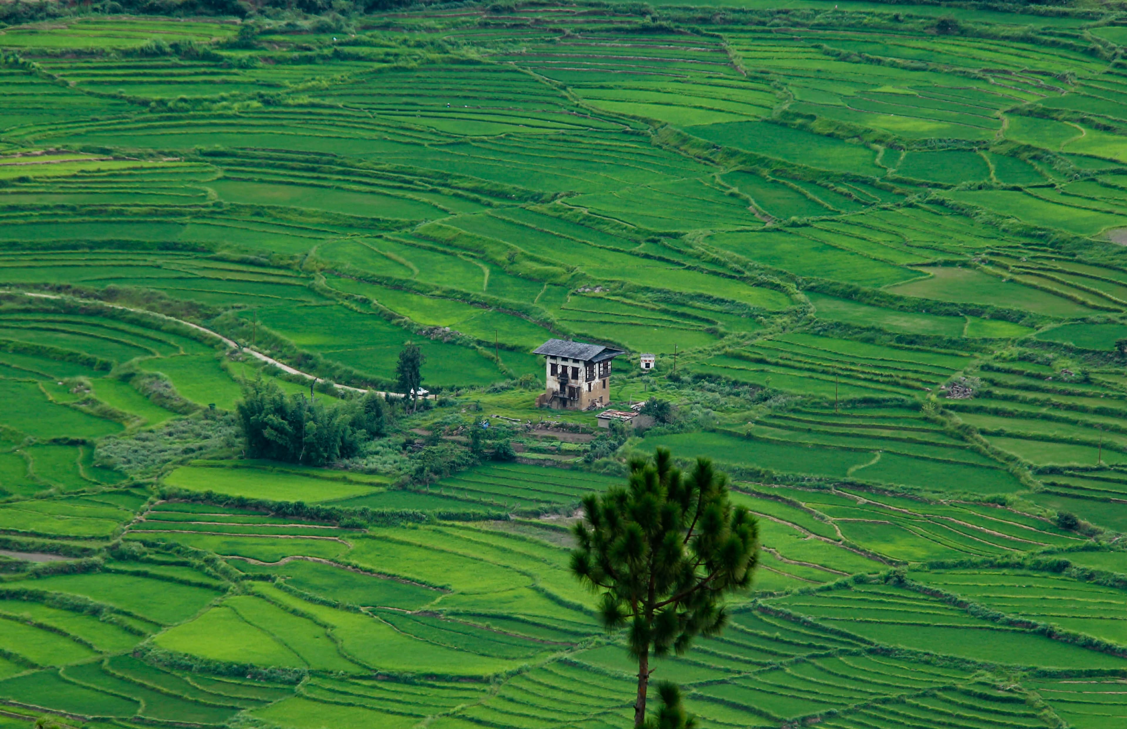 Beautiful nature scene 3